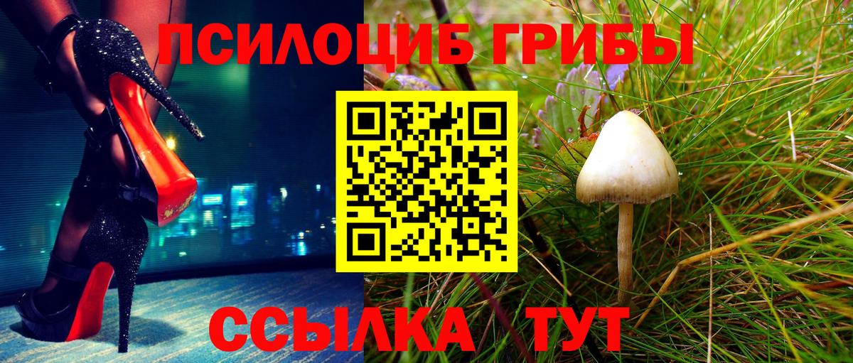 Псилоцибиновые грибы мицелий Калач-на-Дону