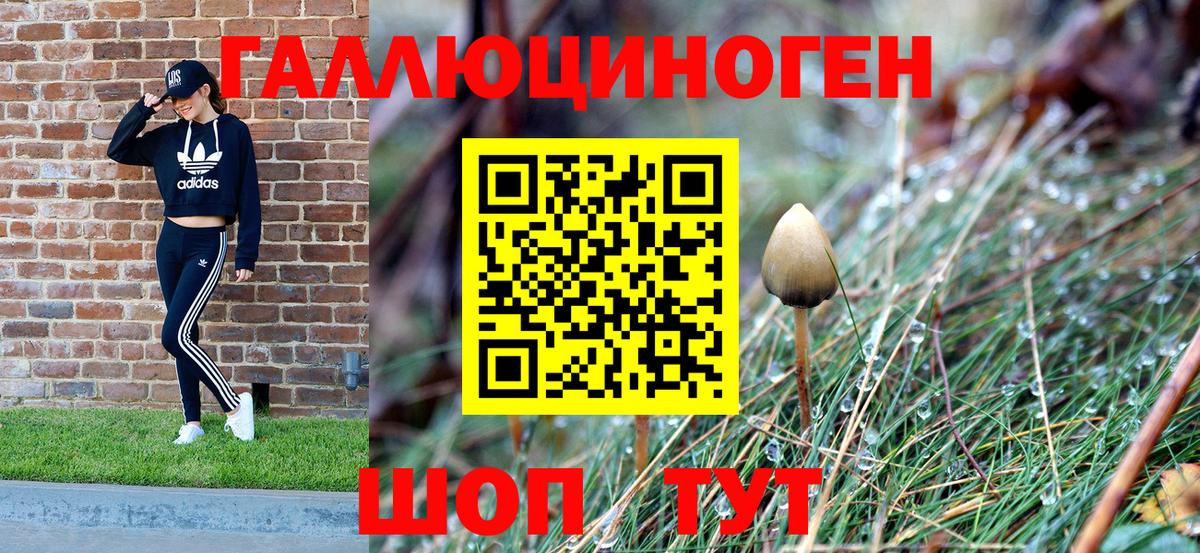 Галлюциногенные грибы Cubensis  Вход с VPN  Галлюциногенные грибы GOLDEN TEACHER  Калач-на-Дону 